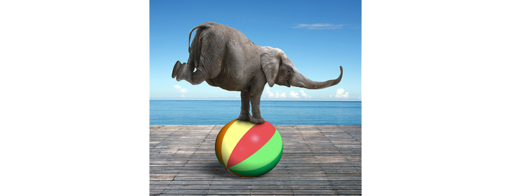 Elephant balancing