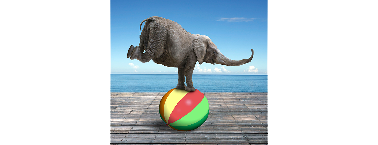 Elephant balancing