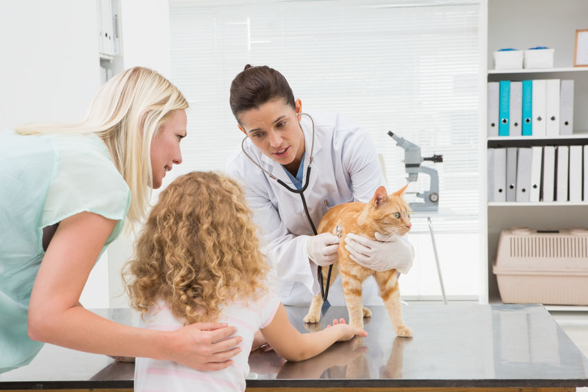 Veterinarian